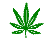 sacred herb (1373 bytes)